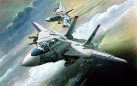 1:144 Grumman F-14 Tomcat