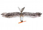 Szybowiec Eagle EPP 1430mm (zestaw)
