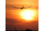 E-flite Night Radian 2.0m BNF Podstawowy